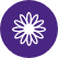 Daisy awards icon