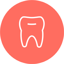 dental standard option color