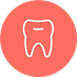 dental standard 2022