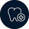 
                          dental high option color 