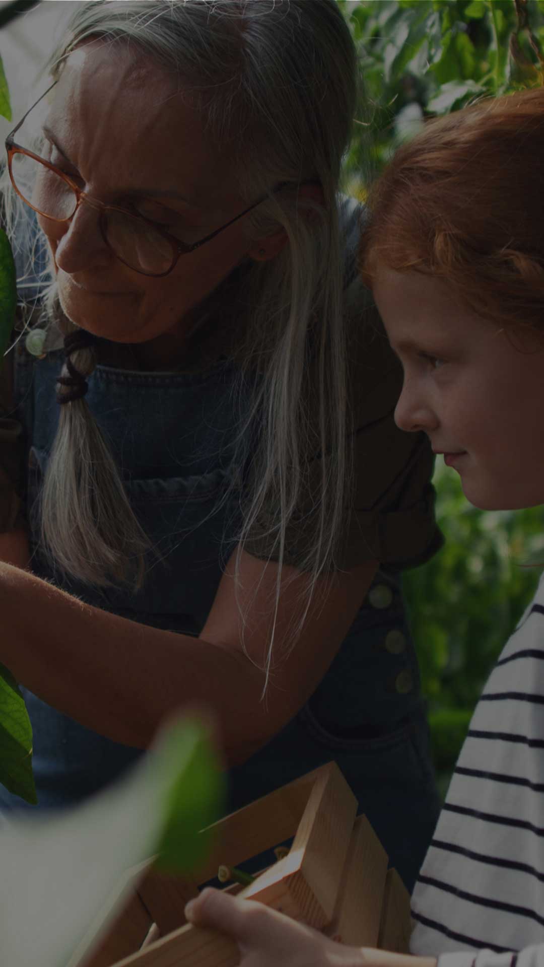 A grandmother and her granddaughter smile while picking fresh peppers inside a sunny greenhouse